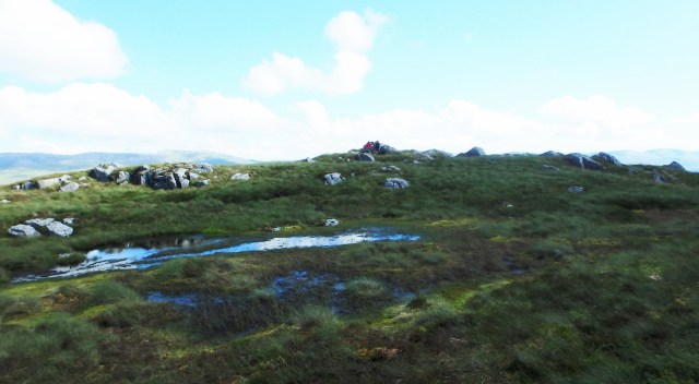 Two fellow travellers on the summit of Dduallt