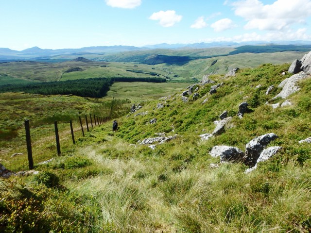 Heading down towards the forest