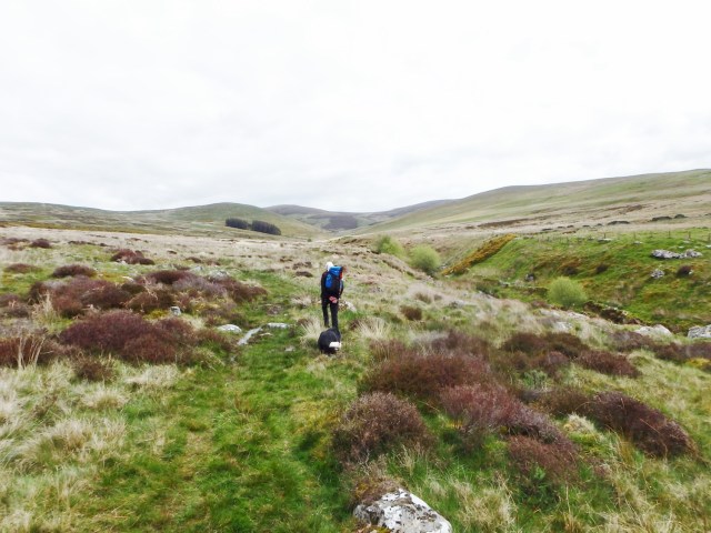 …. then on to open moorland