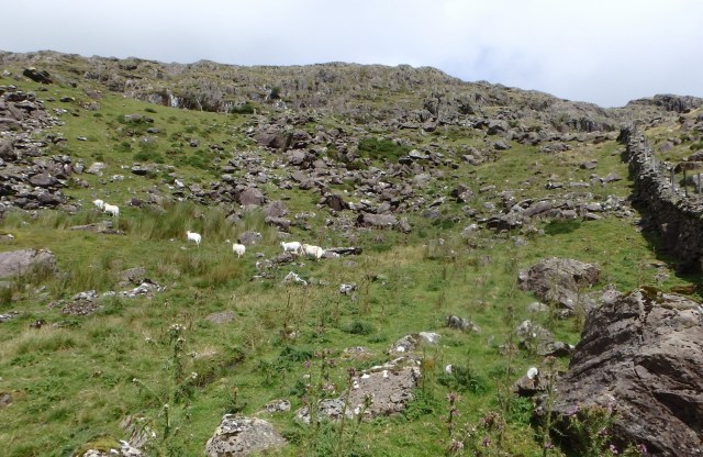 …. in fact, some fairly steep uphill!