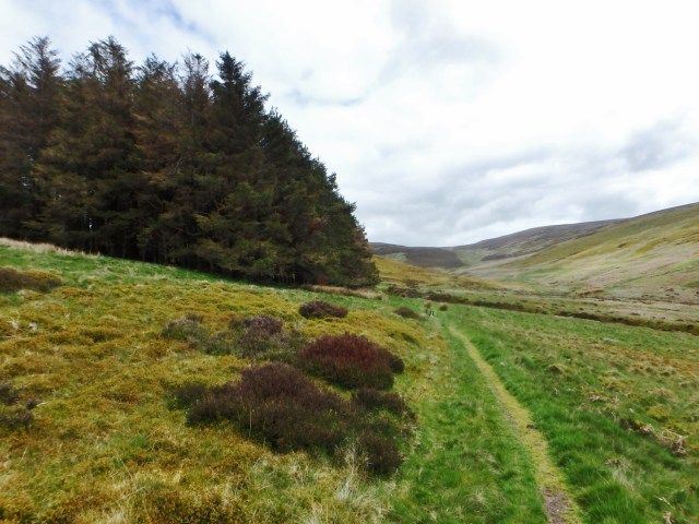 The route past the plantation