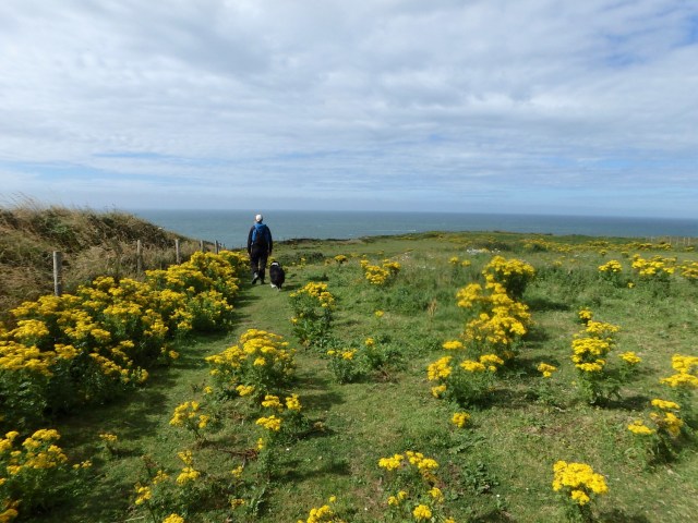 Setting off across the fields, near Kete