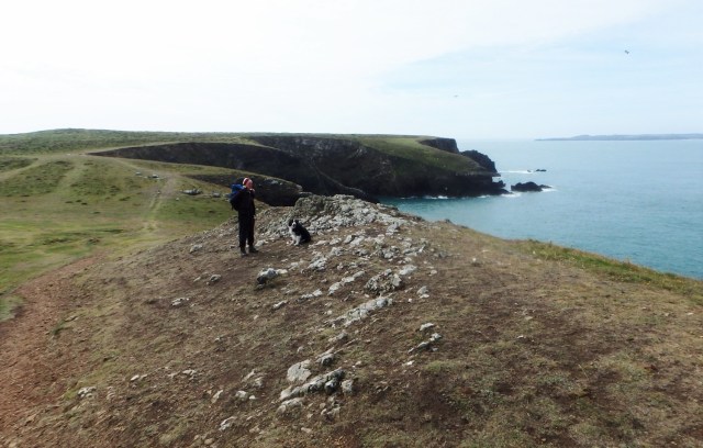 Back on the Pembrokeshire Coastal Path