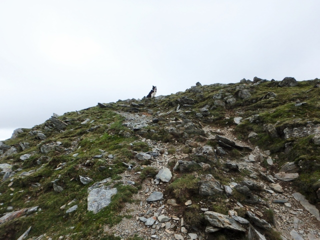 Getting near to the summit 