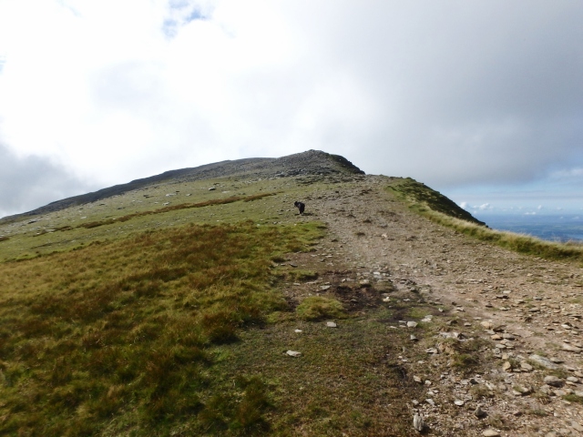 Final slopes leading to the summit of Carnedd Dafydd ….