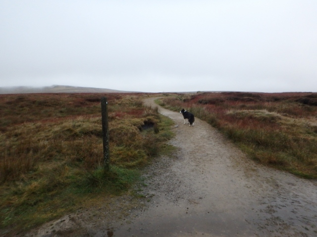 The Pennine Way starts off as a well-made path ….