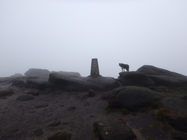 The Trig Point at Higher Shelf Stones (621 metres)