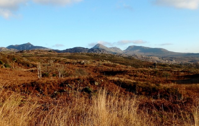 Great views to the Moelwynion (Moelwyns) with (l to r) Cnicht, Moelwyn Mawr and Moelwyn Bach