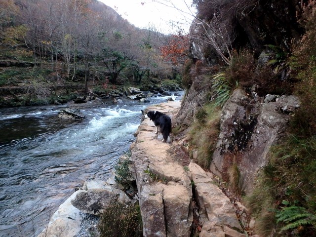 The rocky bit of the path, directly above the river …. 