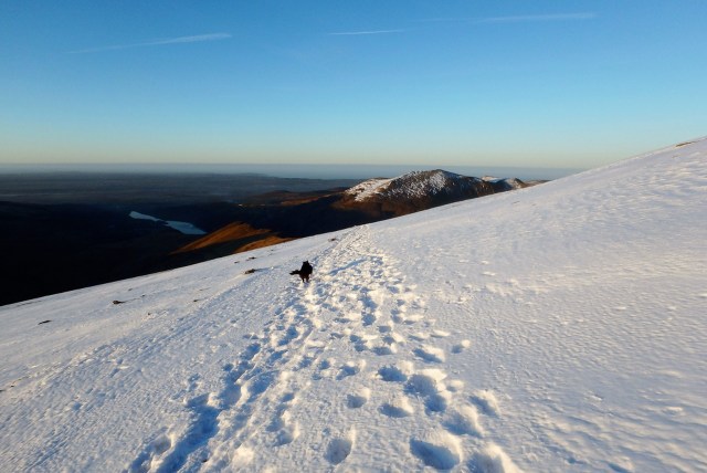 ‘Mist’ enjoying a run on the snow-covered Llanberis Path