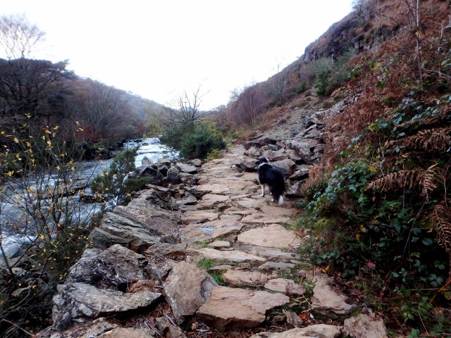 Through the gorge at last ….