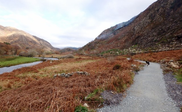The path from Beddgelert to Llyn Dinas 