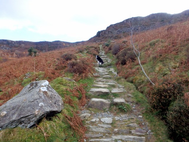 Time to start heading upwards