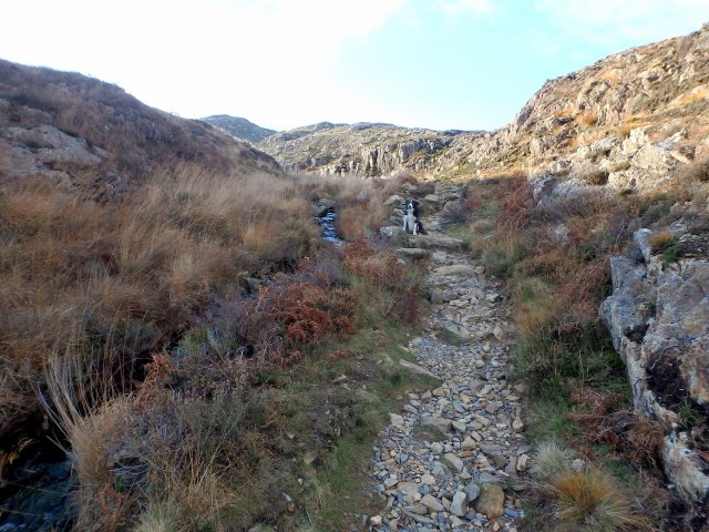 …. and the way ahead