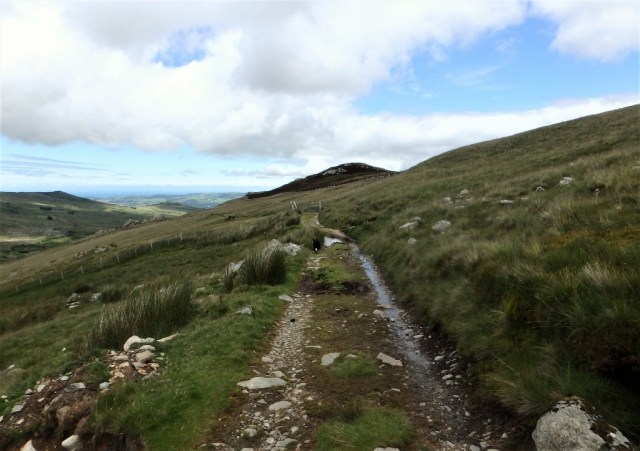 Back on the track – time to head for home