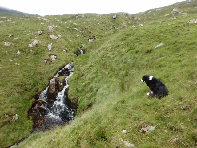 Small waterfall on the Afon Eigiau